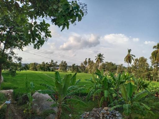 Gopi Plantation Homestay - Housity