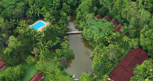Pousada Salve Floresta - Housity