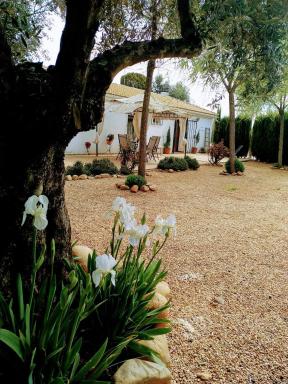 La Casa del Abuelo Jose - Housity