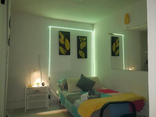 Yellow-Gray Tropical Studio - Housity