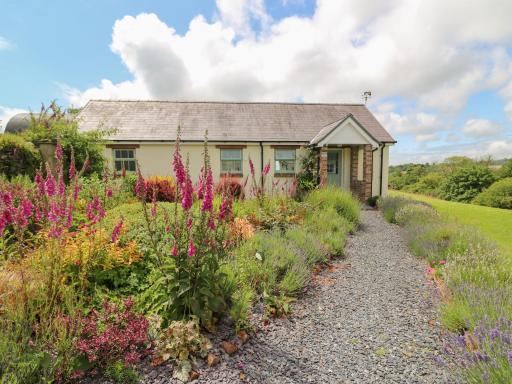 Blaenffynnon Bach - Housity