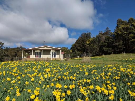 Mountain Blue Guest House - Housity
