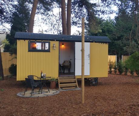 Forest Heath Shepherd's Hut - Housity