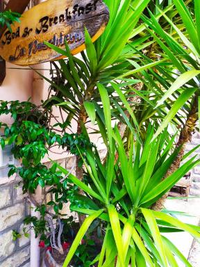B&B La Peschiera - Housity