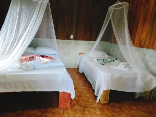 Posada Rio Celeste in - Housity