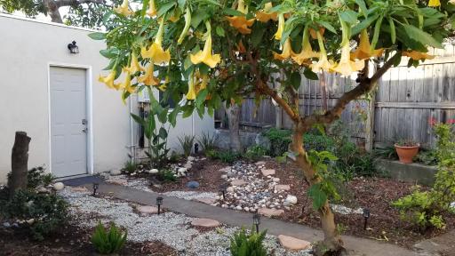 Remodeled Cottage in Berkeley/Oakland Rockridge - Housity