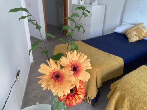 Apartamentos Eva y Lola - Housity