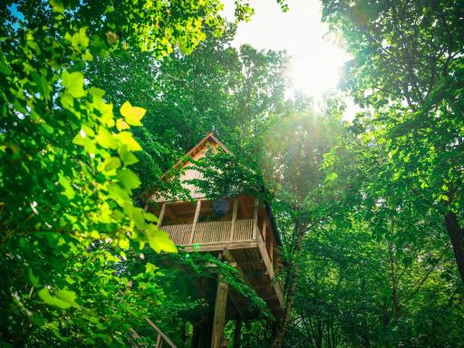 Garden Village Bled - Housity