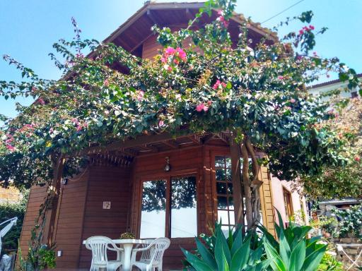 Casa na Ilha da Magia - Housity