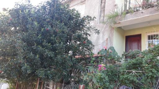 Pertinho da Mata - Housity