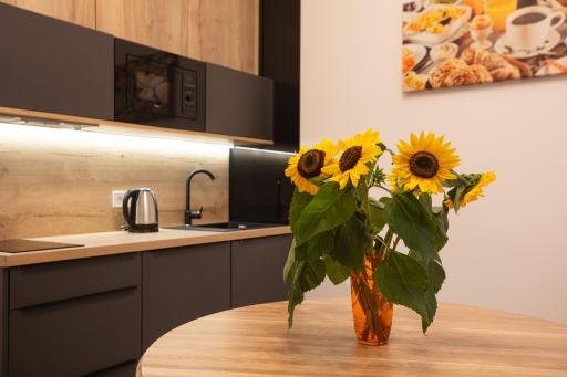 Friends House- сучасні апартаменти в центрі Львова - Housity
