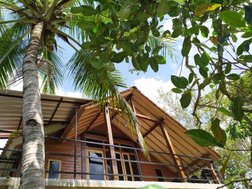 Cengkeh homestay - Housity