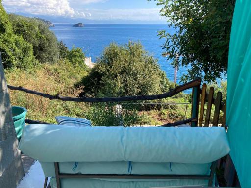 Tiny Home Noli - Housity