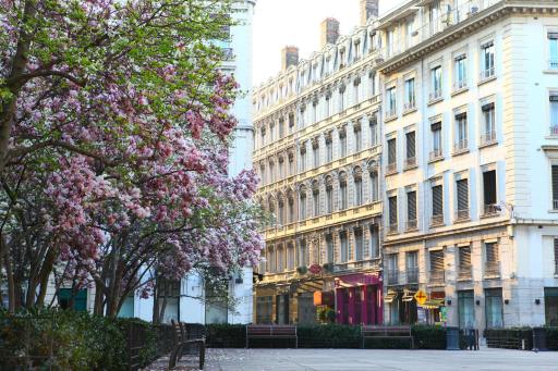 Hotel des Celestins - Housity