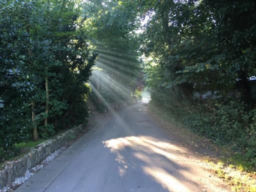 Mühlenweg Onkel Fiffi - Housity