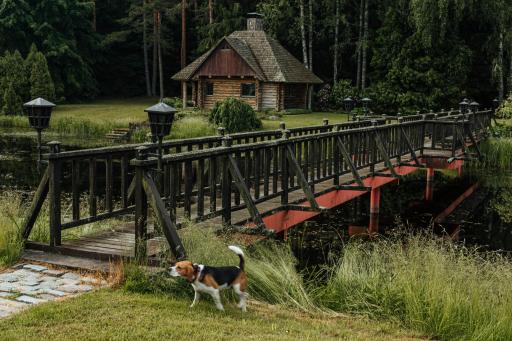 Log Cabin - Housity
