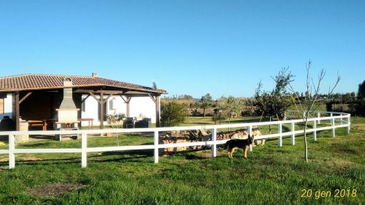 Domus Cocco - Housity