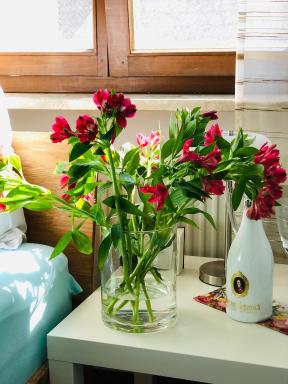 Idyllische Ferienwohnungen in Mossendorf - Housity