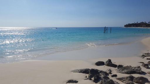 Ocean Front Property - Villa 1 Aruba - Housity