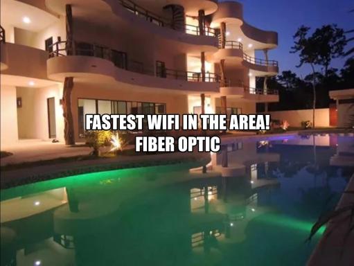 Selva Madre 203 - Housity