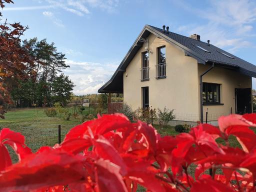 Sosnowe Widoki - Nowe Miasto nad rzeką Soną - Dom całoroczny - Housity