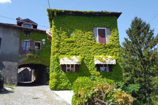 The Ivy House in the Castle - Housity