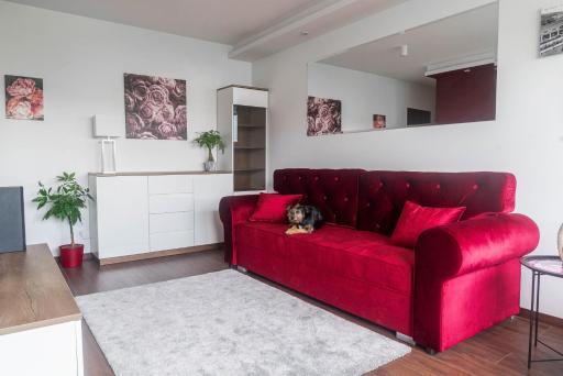 Rose Valley Apartment - Housity
