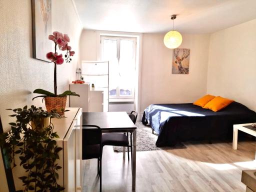 COSY Fontainebleau - Housity