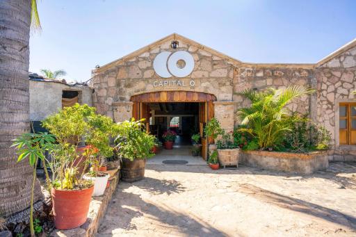 Capital O Hotel Posada Terraza, Tequila Jalisco - Housity