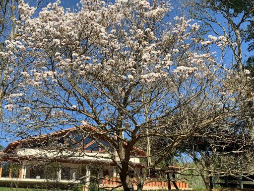 Pousada Gardenian - Housity