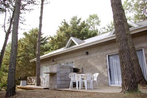 Loft Hadas del Bosque - Housity