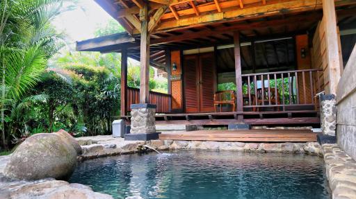 Tirta Arsanta Hot Springs & Villa - Housity