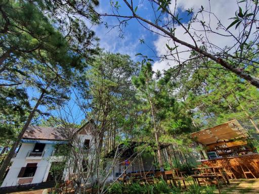 Chino Homestay Măng Đen - Villa tại Măng Đen - Housity