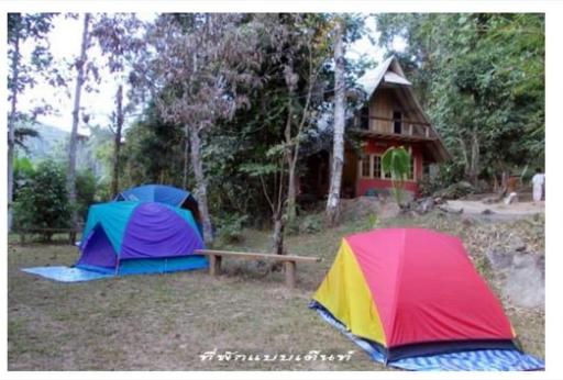 Chiangrai resort house Camping - Housity