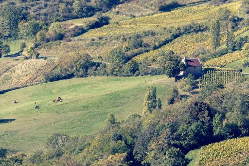 Les Billardes - le gite - Jura - Housity