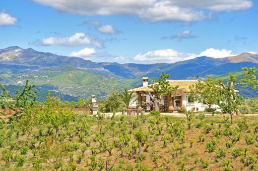 Casa Rural Juzcar - Housity
