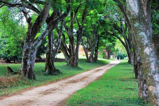 Idle & Wild Chalet - Housity