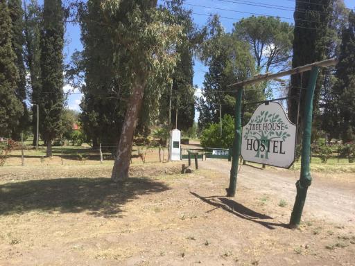 Tree House Hostel - Housity