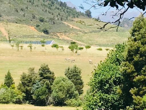 Winelands guest room - Housity