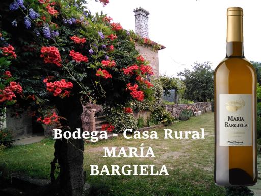 Casa Rural Maria Bargiela - Housity