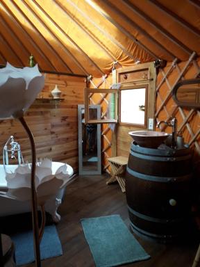 yourtes coccinelles - Housity