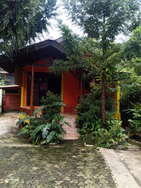 Penginapan Dinafizka - Housity