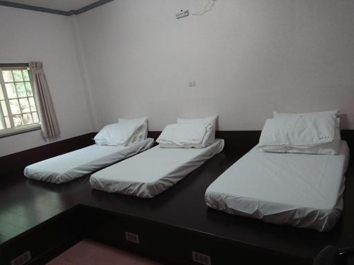 Jinguang Homestay - Housity