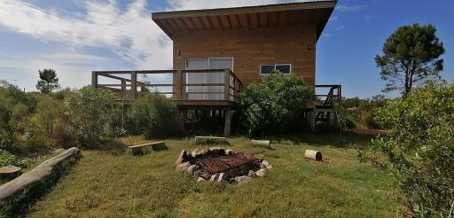 Charrua de Punta colorada - Housity