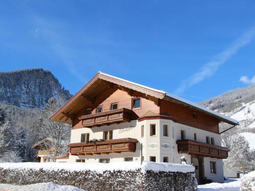 Cozy apartment in Wald K nigsleiten - Housity