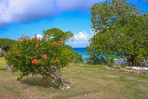 Rica Vista Beach Cottages - Housity
