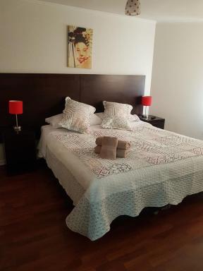 Departamentos Pontoni (Bellas Artes) - Housity
