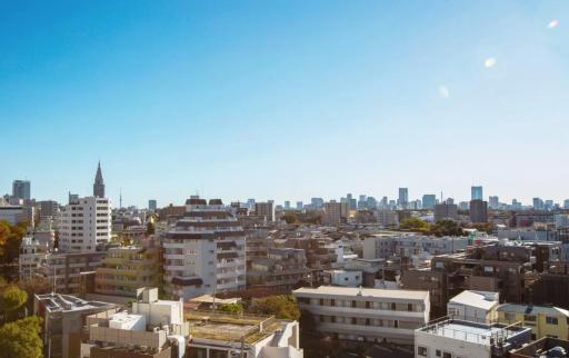 FOREST YOYOGI top floor with nice view over the Tokyo city - Housity