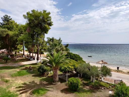 Entire Appartment 50m from sea - Spiros - Housity