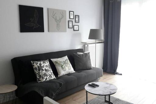 Lux Apartment close to Medicover and Paley - Housity